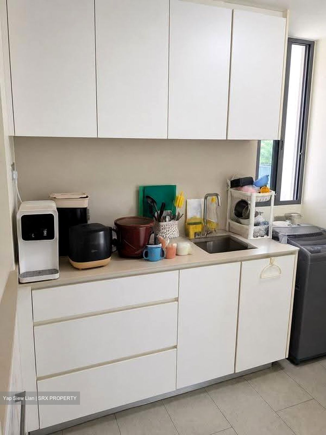 Riversails (D19), Condominium #612852891